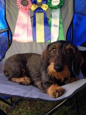 Liina Kjugekull 2015