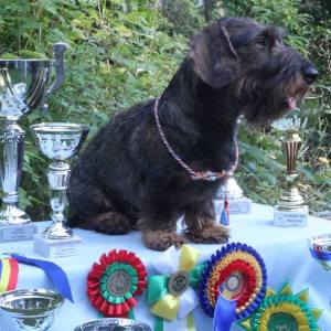 11844965_10103382959808323_5948618240455871783_o