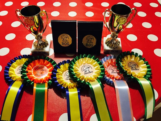 887433_10153667252544512_9104986183055146807_o