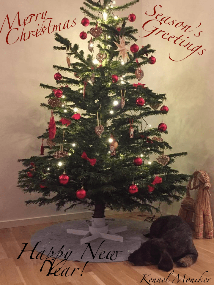 merry-christmas-from-moniker