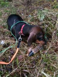 16406756_1858795587731186_497076208962918497_n-1