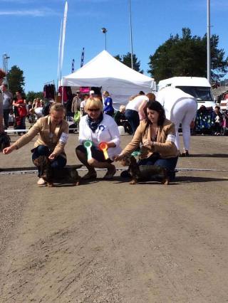 19989512_10105336947825673_5858660257533863066_n