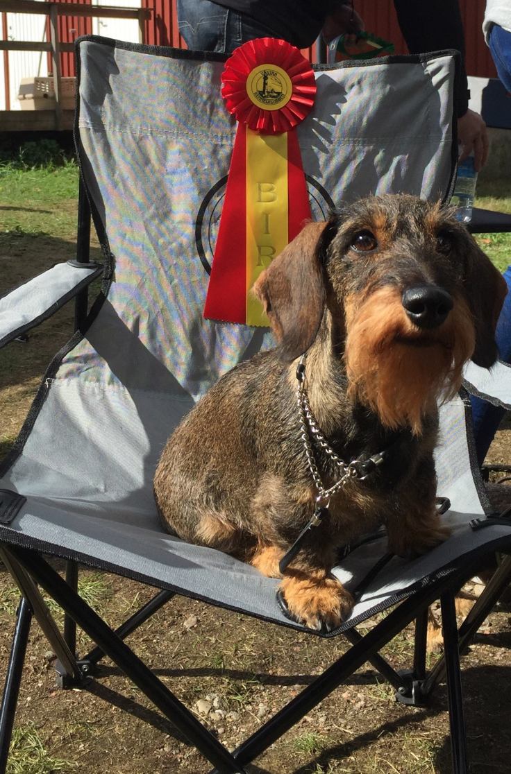 40265940_10106387010496663_2604732961618132992_o