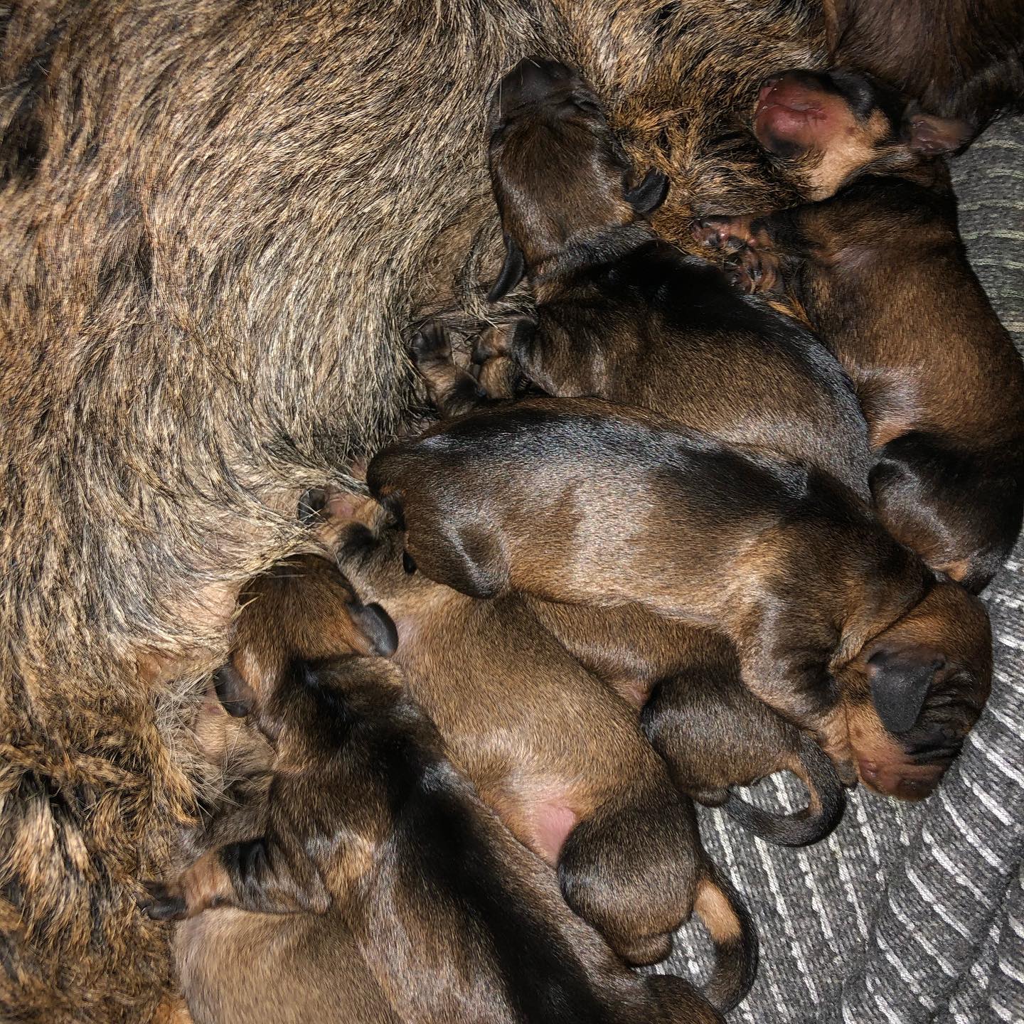 88184748_1320633258145701_835586587516469248_o