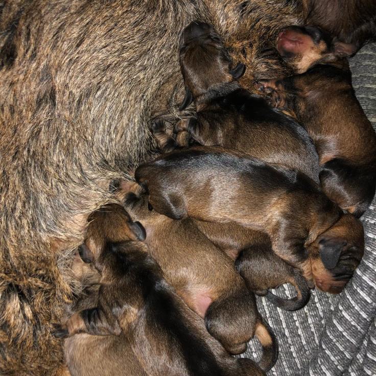 88184748_1320633258145701_835586587516469248_o